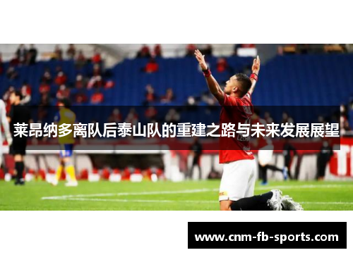 莱昂纳多离队后泰山队的重建之路与未来发展展望