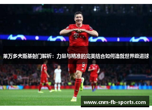 莱万多夫斯基射门解析：力量与精准的完美结合如何造就世界级进球