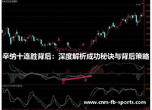 辛纳十连胜背后:深度解析成功秘诀与背后策略