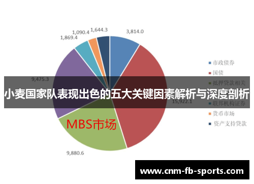 小麦国家队表现出色的五大关键因素解析与深度剖析